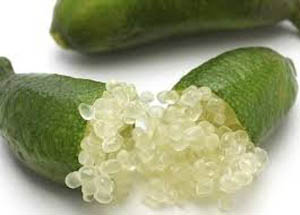 Finger Lime