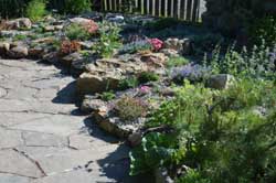 Alpine garden at Vale's Greenhouse