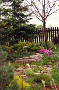 alpine garden at Vale's Greenhouse