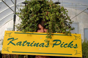 Katrina's Picks